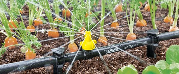 Garden Watering Range - Irrigation