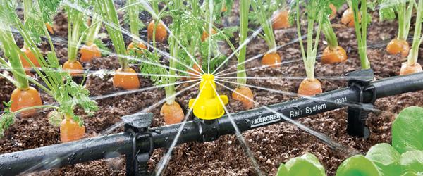 Garden Watering Range - Irrigation