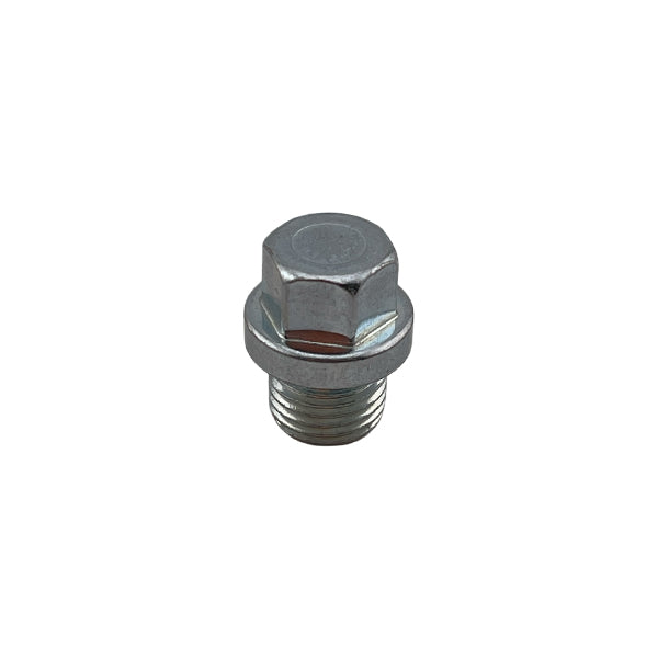 KARCHER Screw Plug M10x1-St-A2E DIN 910 7382085