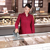 KARCHER WVP 10 Advanced Professional Window Vacuum