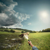 KARCHER OC3 Accessories Box Pet 26438590