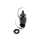 KARCHER Vacuum Motor Complete 4613008