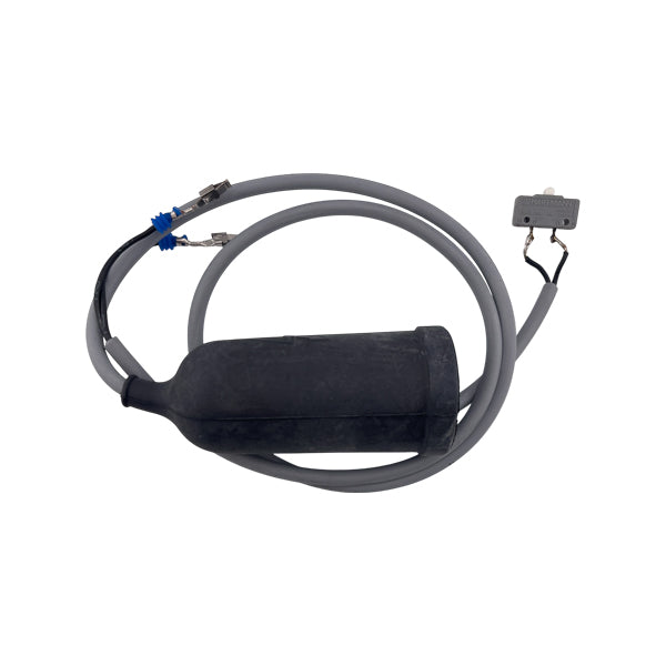 KARCHER Micro Switch 6631667